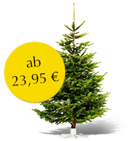Weihnachtsbaum